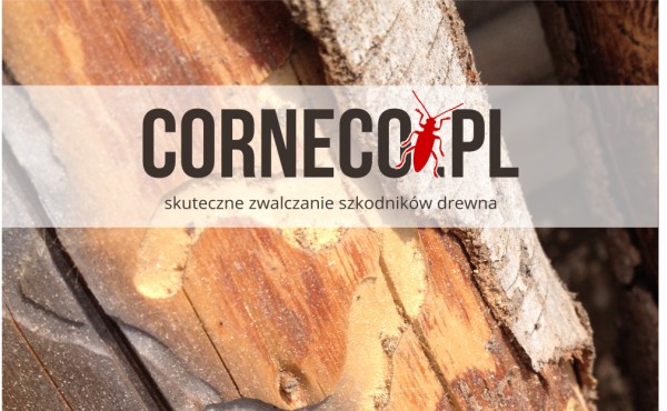 corneco